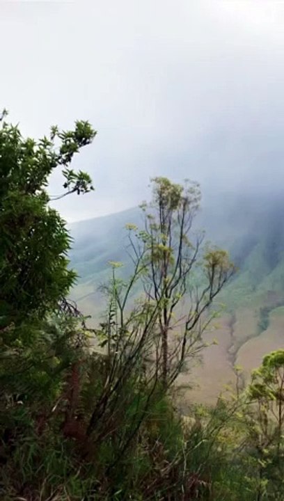 beautiful view of the montains