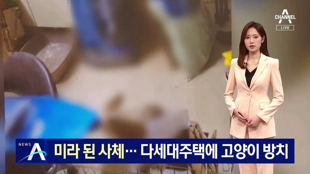 미라 된 사체 발견…다세대주택에 고양이 방치