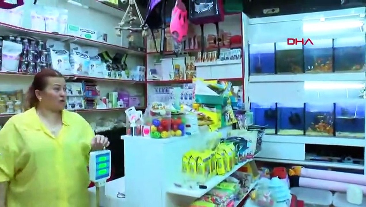 Merdiven altı evcil hayvan satışına ceza yağdı