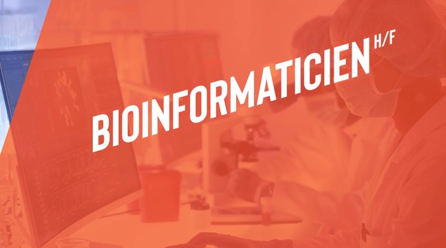 Recherche et formulation : zoom sur les métiers de la pharma