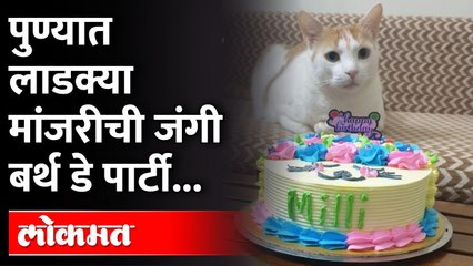 पुणे तिथे काय उणे...इथे मांजरीचा वाढदिवसही होतो म्हणे... |  cat birthday party celebration In Pune