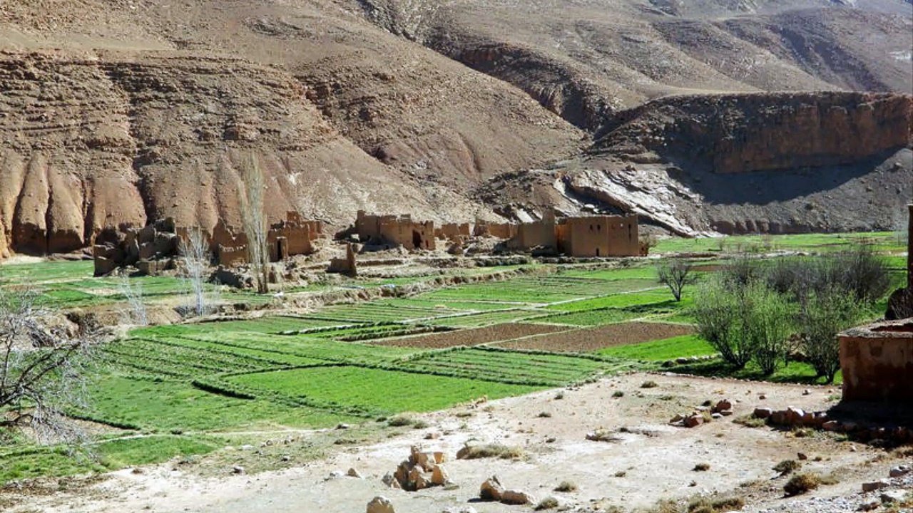 Maroc (Gorges du Todra)