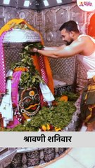 श्रावणी शनिवारी पठण करा "ॐ पार्वतीपतये नमः" हा मंत्र Shravan 2022 #shorts