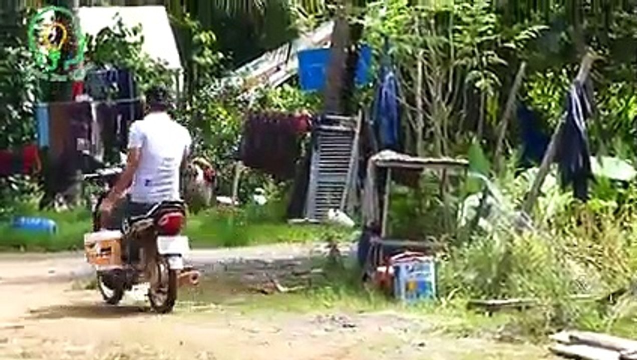 How to make Free Energy Gas from Cow Dung  Amazing technology to use free gas from garbage. - Learn For ideas