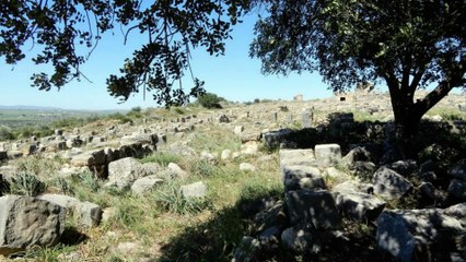 Maroc (Volubilis)