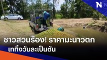 ชาวสวนร้อง! ราคามะนาวตกเททิ้งวันละเป็นตัน | เนชั่นทันข่าวค่ำ | NationTV22