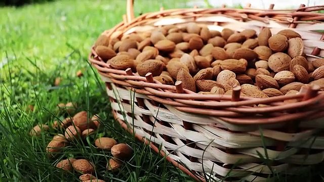 Scienza & Salute: ‘La mandorla, salute in tasca tutti i giorni’