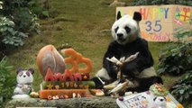 Fallece en Hong Kong An An, el panda más anciano del mundo en cautividad