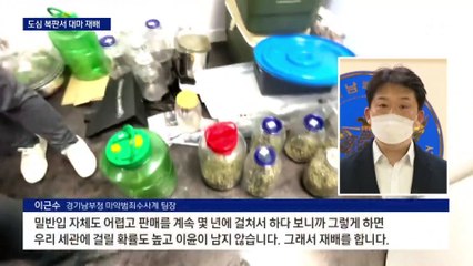 유통비 아끼려…도심 상가서 대마 재배