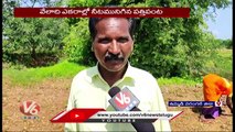 Nearly 1000 Acres Crops Damaged Due To Heavy Rains In Warangal  | V6 News (2)