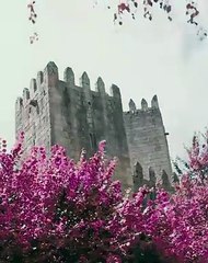 Vitória Equipamento