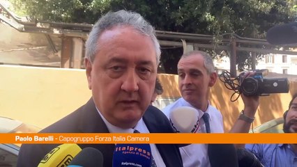 Barelli "Forza Italia ha chiesto Draghi bis con nuovo patto"