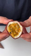 Passion Fruit 
