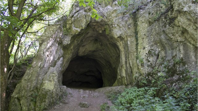 Mysteriöse Zeitkapsel wird nach 200 Jahren geöffnet: Sie enthüllt erstaunliche Schätze