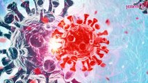 Uzmanlardan sonbahar uyarısı: Koronavirüste büyük dalga geliyor Ömür boyu sürecek