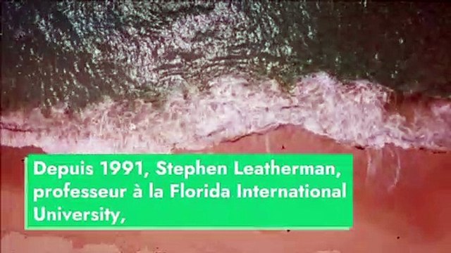 Les États-Unis et ses plus belles plages