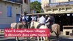 La Camargue : les plus beaux villages à découvrir
