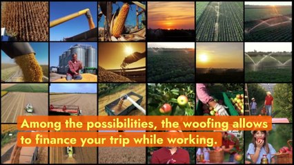 Woofing, an alternative way to finance a trip abroad while working