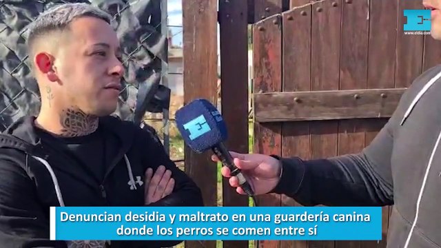 Denuncian desidia y maltrato en una guardería canina, donde los perros se comen entre sí1