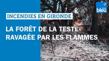 Incendies en Gironde : la forêt de La Teste-de-Buch ravagée par les flammes