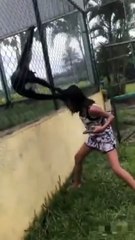 Ne jamais chercher un singe en cage