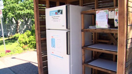 Frigos partagés : réduire le gaspillage et partager