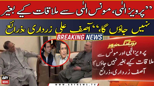 Chaudhry Pervaiz Elahi, Moonis Elahi refuses to meet Asif Ali Zardari