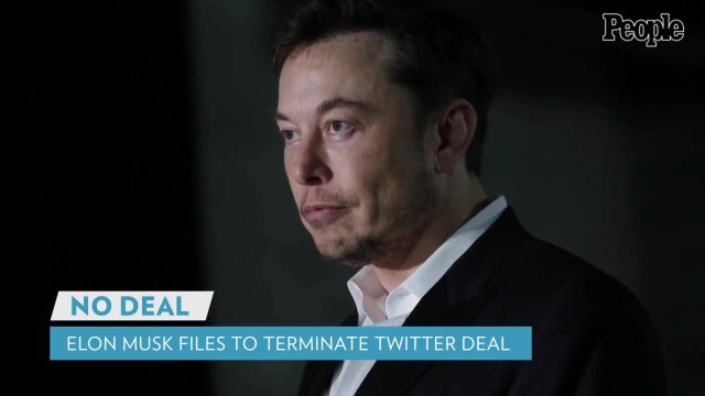 Elon Musk Pokes Fun at Memes of His Yacht Photos: 'Maybe I Should Take Off My Shirt More Often'