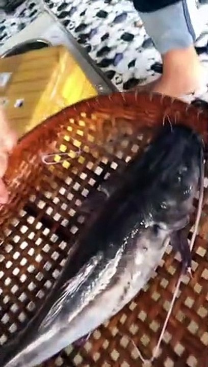 Cá Lăng đuôi đỏ