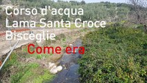 Bisceglie: gli interventi anti-esondazioni e le conseguenze sul paesaggio dei corsi d’acqua Lama Santa Croce e Lamaveta - FOTO e VIDEO