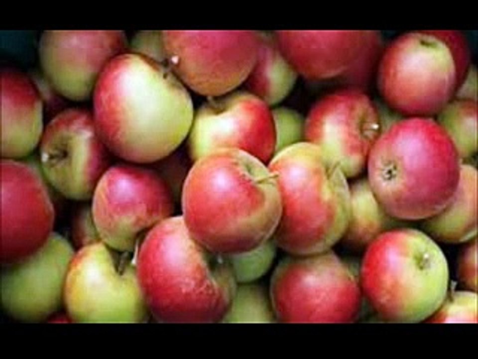 Der neue Trend - Pegan