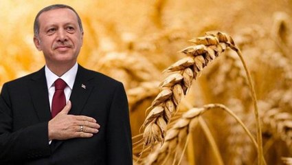 ABD'den İstanbul'da imzalanacak Tahıl Sevkiyatı Anlaşması'na ilk tepki: Türkiye ve BM'nin çabalarını takdir ediyoruz