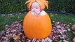 Je parie que vous ne pouvez pas arrêter de rire - Funny BABIES Halloween Costumes 2017