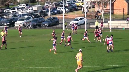 BFNL player highlights: Sandhurst's Lee Coghlan  v Gisborne