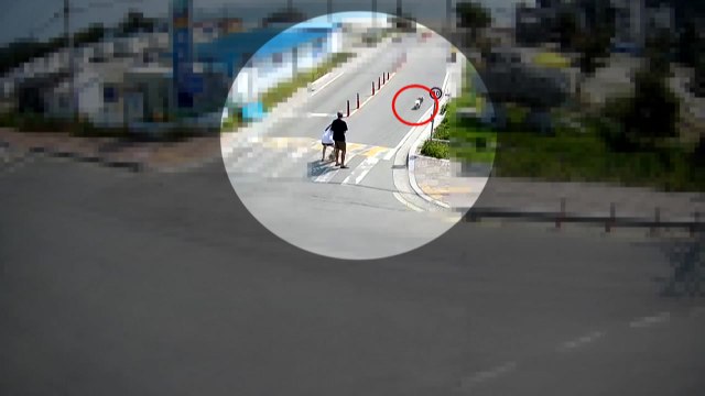 우리 개는 안 물어요 목줄 풀린 개가 달려들 때 대처 방법은? / YTN