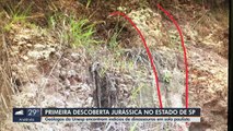 DINOSSAUROS DO JURÁSSICO EM SP