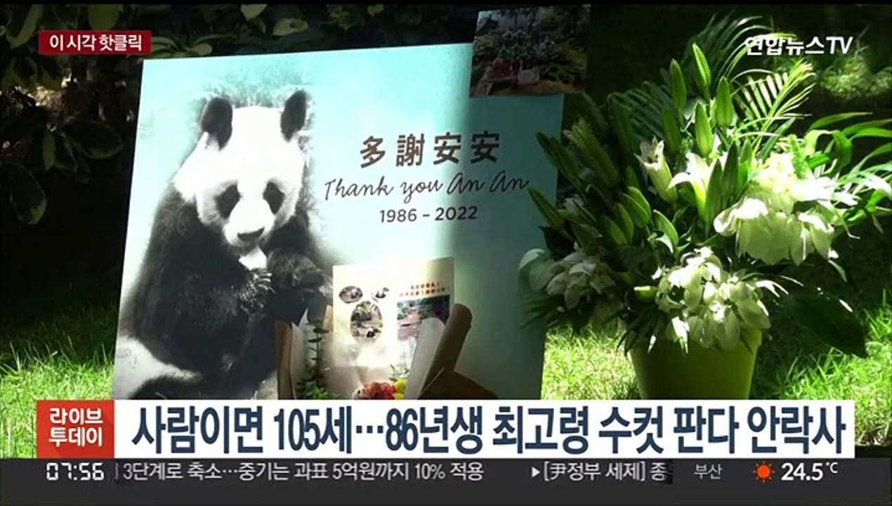 [핫클릭] 현직 민주당 구의원 대낮 음주운전 혐의 입건 外
