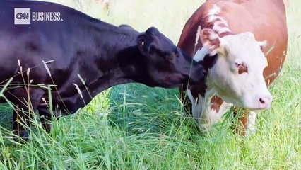 Farmers around the world are struggling. Your pee could help