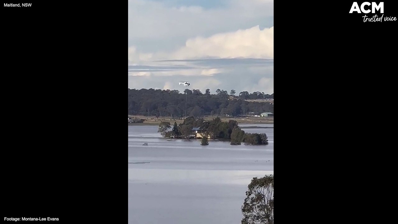 Helicopters deliver hay to stranded cattle in flood zone | July 22, 2022 | Maitland Mercury