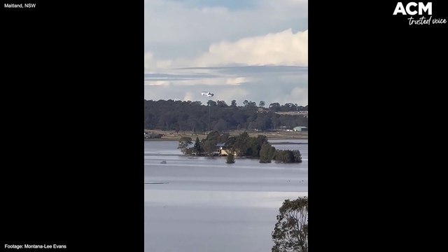 Helicopters deliver hay to stranded cattle in flood zone | July 22, 2022 | Maitland Mercury