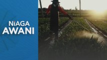 Niaga AWANI: MIACES 2022 | Peranan teknologi dalam sektor agrikomoditi