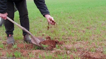 'Garawang' mixed farming property for sale in Georgetown, SA | July 22, 2022 | Farm Online