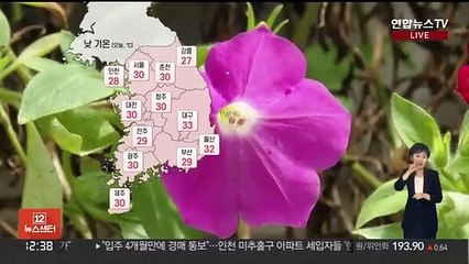 [날씨] 낮 동안 30도 안팎 더위…곳곳 소나기