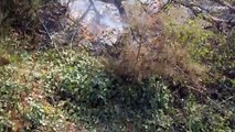 Waldbrände: Slowenien kämpft gegen Flammen und alte Weltkriegsmunition