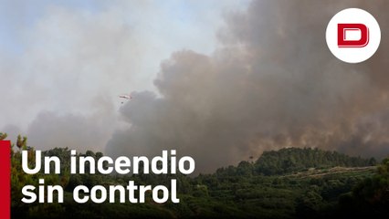 Unos cien efectivos trabajan en el incendio de Tenerife, que sigue sin control
