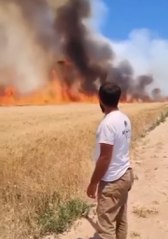 Buğday tarlalarındaki yangınlar kaza mı sabotaj mı?