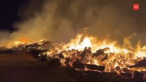 Noche de lucha contra las llamas en Guadalix de la Sierra (Madrid)