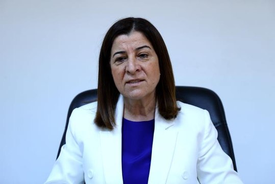 Edirne haberleri! AK Parti'li Aksal, çayır tırtılının Edirne'de büyük ölçüde kontrol altına alındığını belirtti