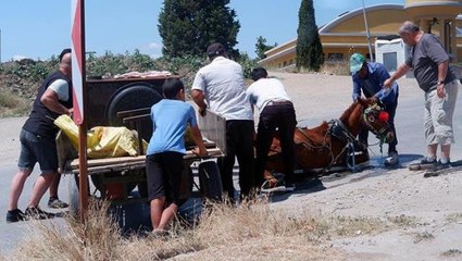 40 derecelik havada yük taşıyan at yere yığıldı! Vatandaşlar hemen yardıma koştu