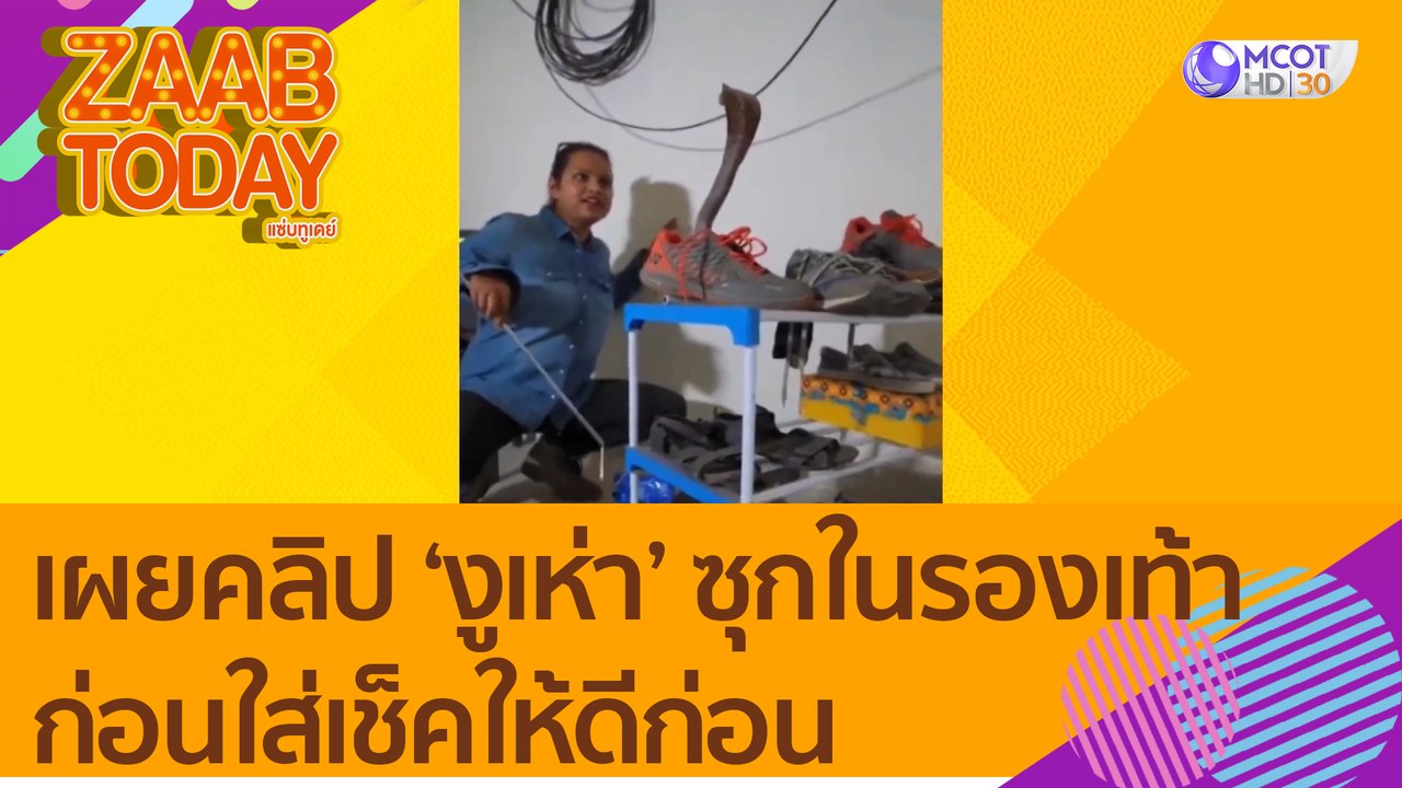 อันตราย! เผยคลิป 'งูเห่า' ซุกในรองเท้า ก่อนใส่เ...